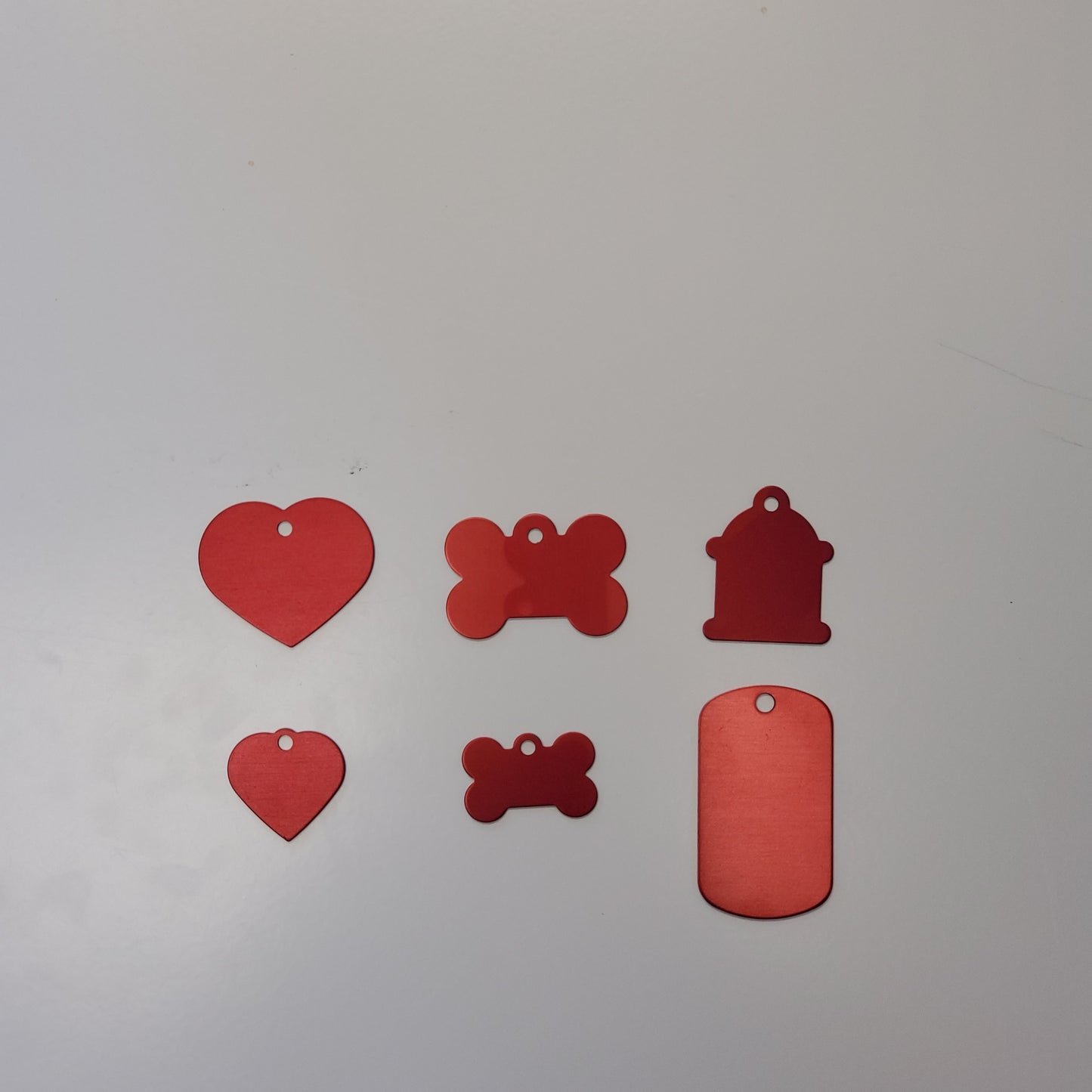 Large Pet Tag