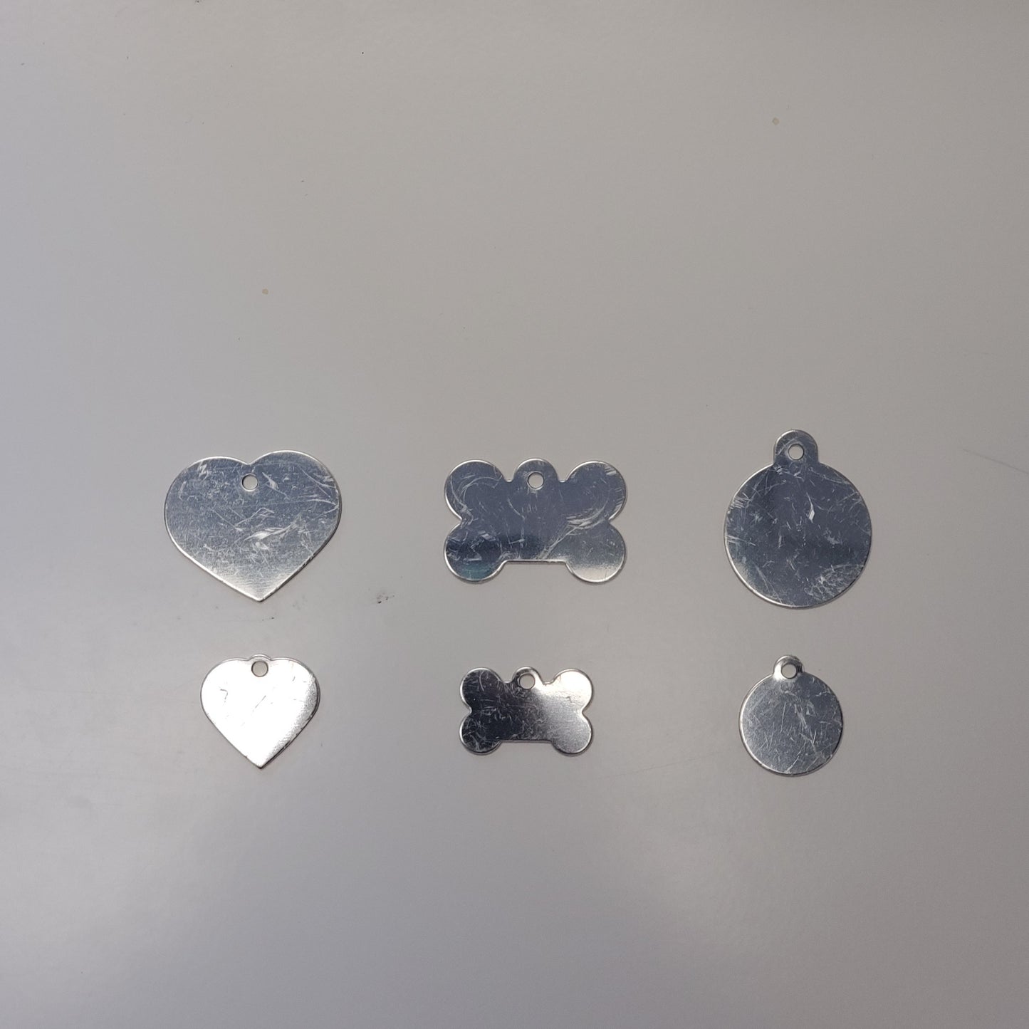 Large Pet Tag
