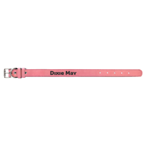 Leatherette Pet Collar